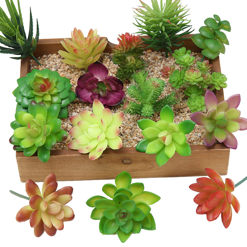 Plant Desk Mini - 2021ประดิษฐ์ Succulents พืชตกแต่งบ้าน Mini Bonsai Garden