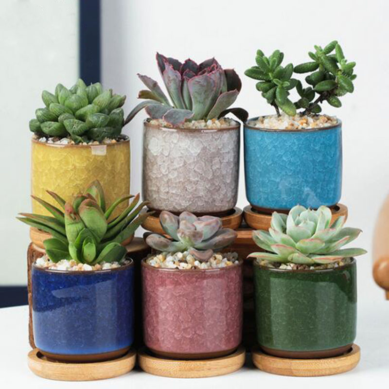 Plant Desk Mini - 6 ชิ้น/เซ็ตเซรามิคชุดกระถางดอกไม้ MINI Thumb Succulent Plant