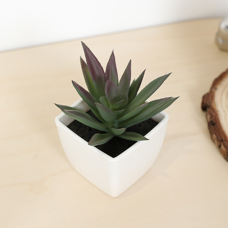 Plant Desk Mini - มินิประดิษฐ์ฉ่ํานางฟ้าถ้วยกระถางต้นไม้ขนาดเล็ก, แจกันพลาสติกสีขาว, เดสก์ท็อป, Windowsill, ตกแต่งชั้นวางหนังสือ