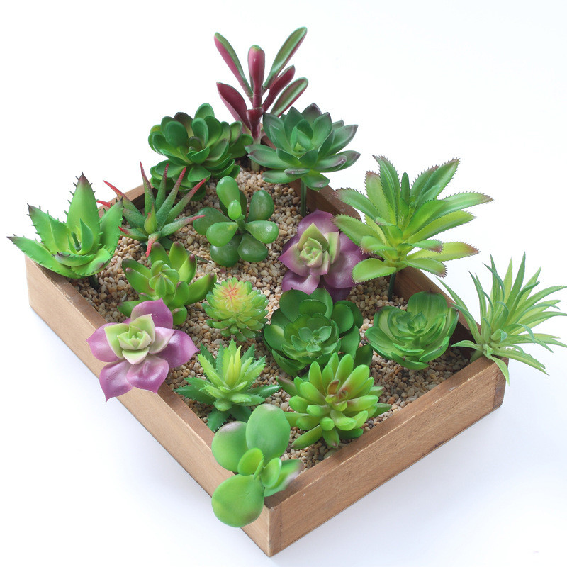 2021ประดิษฐ์ Succulents พืชตกแ - Plant Desk Mini บทวิจารณ์และราคา