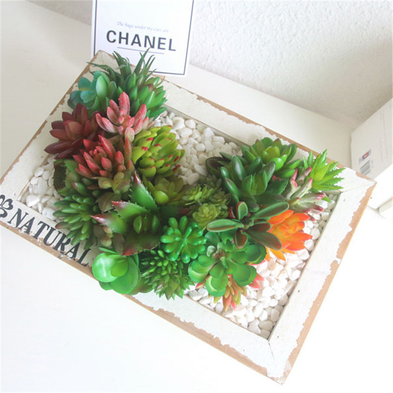 2021ประดิษฐ์ Succulents พืชตกแ - Plant Desk Mini บทวิจารณ์และราคา