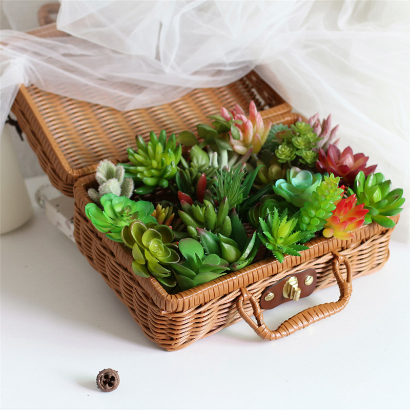 2021ประดิษฐ์ Succulents พืชตกแ - Plant Desk Mini บทวิจารณ์และราคา