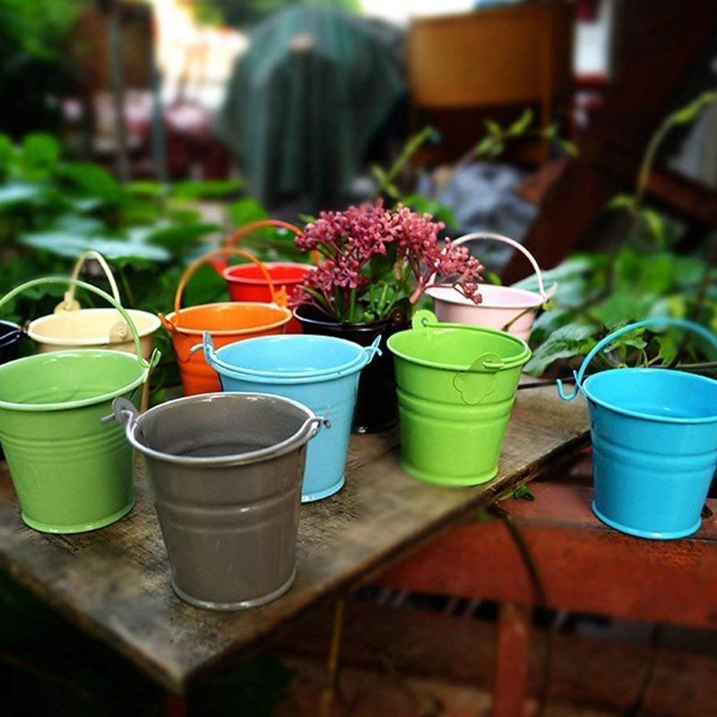 12Pcs Planter สำหรับดอกไม้ Min - Plant Desk Mini บทวิจารณ์และราคา