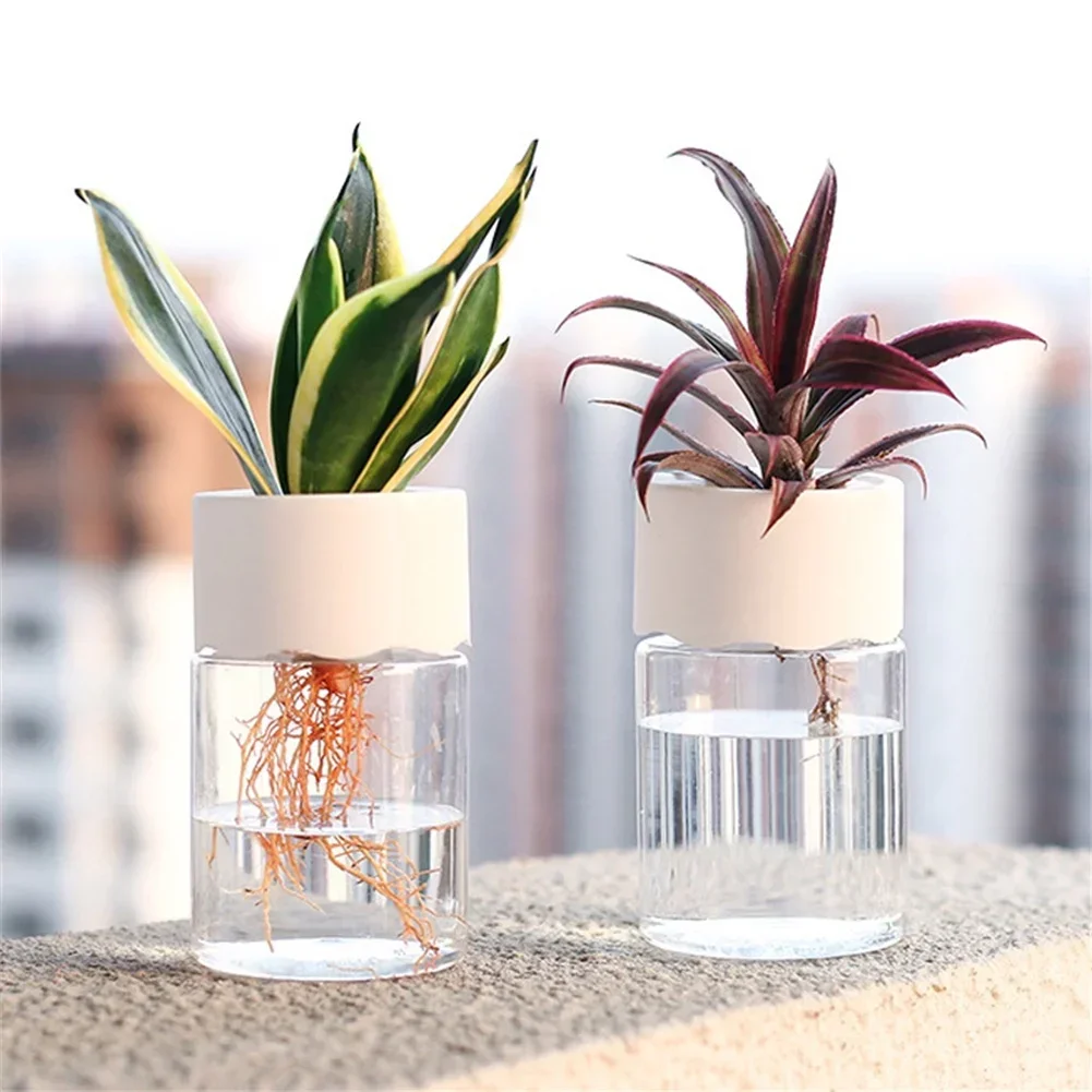 กระถางปลูกดอกไม้ไฮโดรโปนิกส์ขน - Plant Desk Mini บทวิจารณ์และราคา