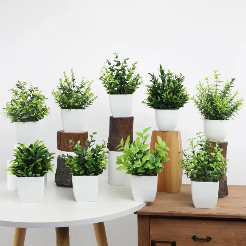ขายส่ง OEM/ODM ประดิษฐ์ Mini P - Plant Desk Mini บทวิจารณ์และราคา