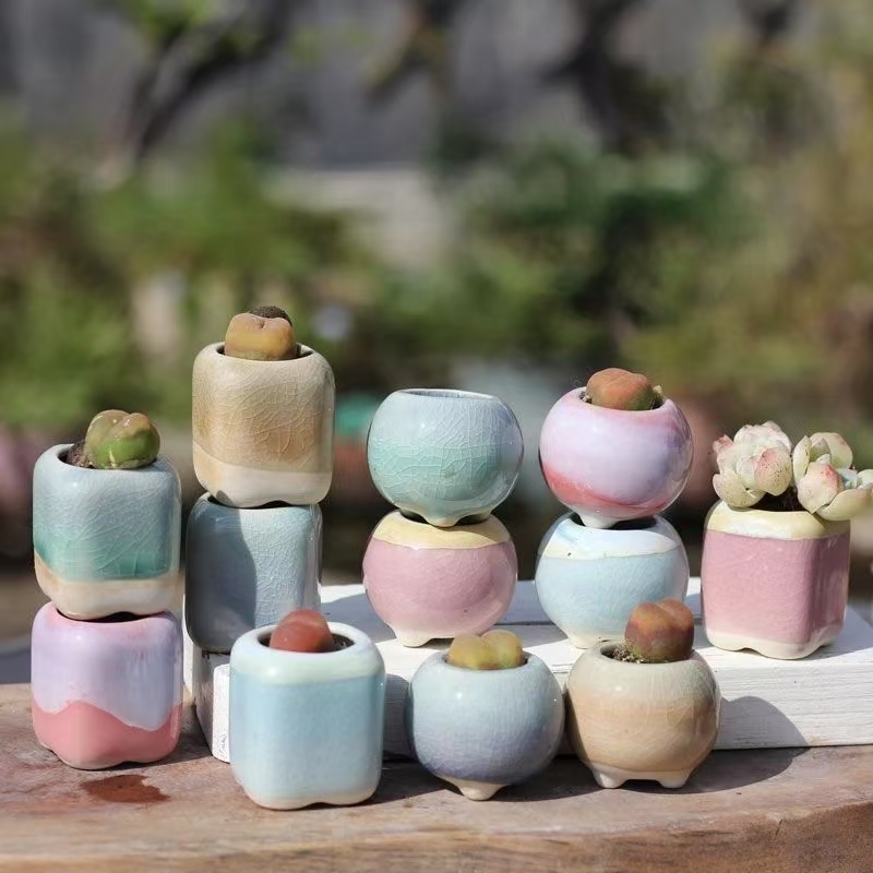 6 ชิ้น Mini กระถางดอกไม้ Succu - Plant Desk Mini บทวิจารณ์และราคา